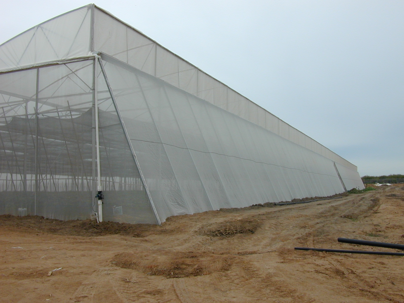 Greenhouse Project 2